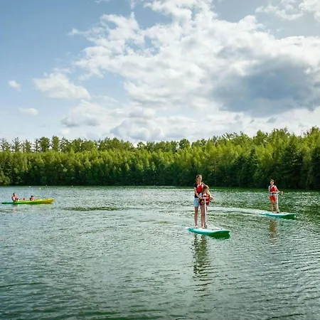 Forest-view Mansion, Hainaut Antoing