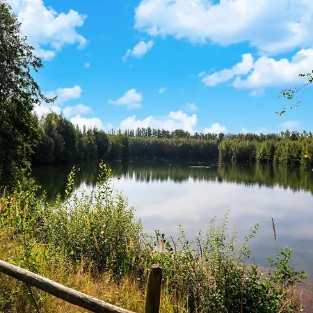 Forest-view Mansion, Hainaut 펜션